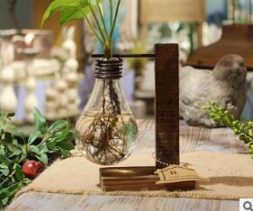 Creative Hydroponic Pothos in Modern Glass Vase