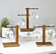 Creative Hydroponic Pothos in Modern Glass Vase