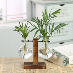 Creative Hydroponic Pothos in Modern Glass Vase