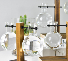 Creative Hydroponic Pothos in Modern Glass Vase