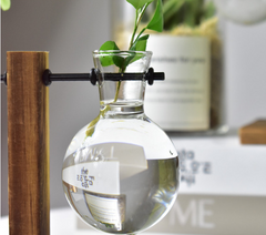 Creative Hydroponic Pothos in Modern Glass Vase