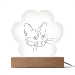 Cat Light-up Plaque