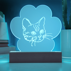 Cat Light-up Plaque