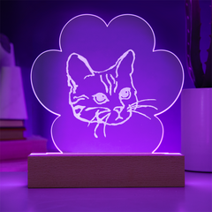 Cat Light-up Plaque