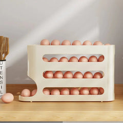 Refrigerator Egg Storage Box
